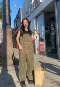 มิลลิ-ดนุภา-นักร้องฮิต