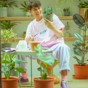 แดน-วรเวช-ต้นไม้