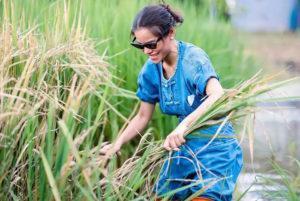 โอปอล์-ปาณิสรา