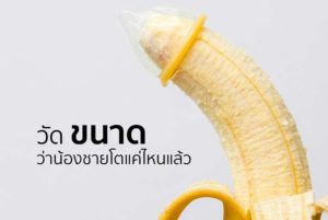 ขนาดถุงยางอนามัย-วัดถุงยาง