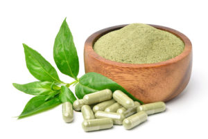 ฟ้าทะลายโจร-ยา ฟ้าทะลายโจร-ยา