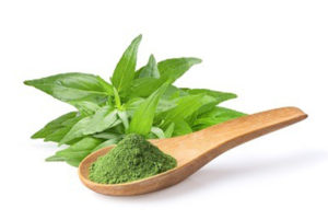 ฟ้าทะลายโจร-ยารักษา