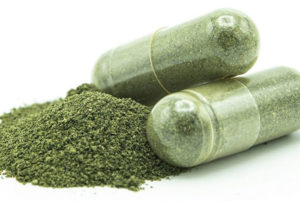 ฟ้าทะลายโจร-ยารักษาโรค