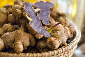 สมุนไพรเพิ่มสมรรถภาพ-กระชายดำยา