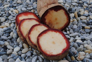 สมุนไพรเพิ่มสมรรถภาพ-กวาวเครือแดงยา