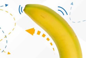 จู๋เอียง--เอียง