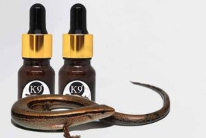 น้ำมันจิ้งเหลน-เสริมชาย